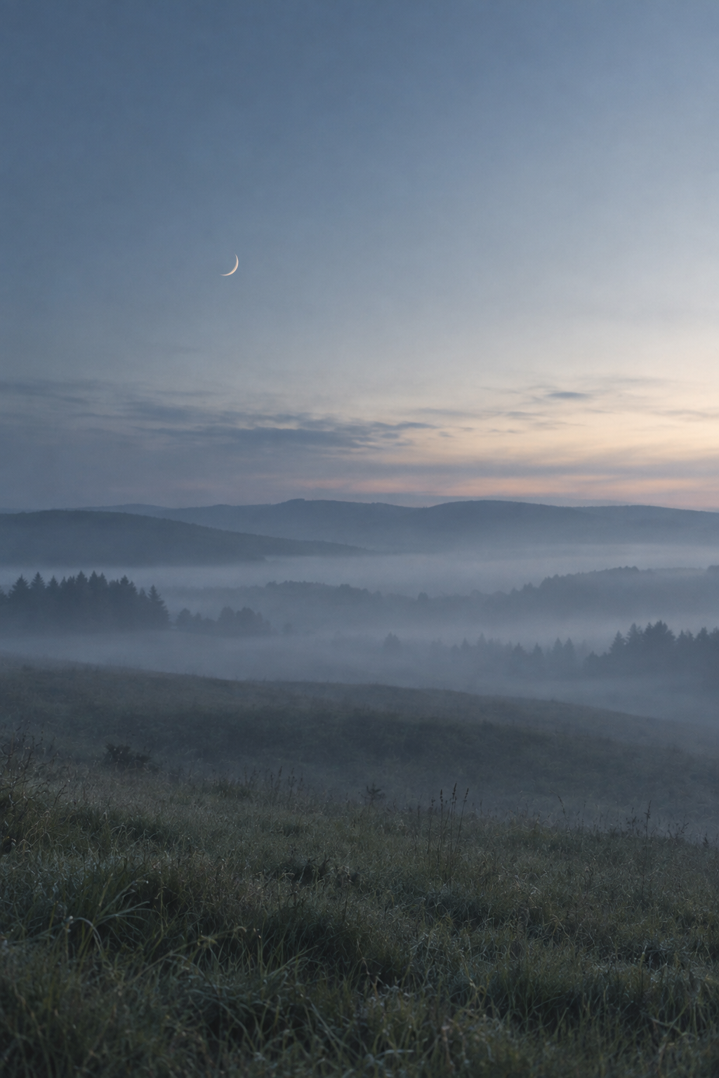 Mlžná krajina za soumraku